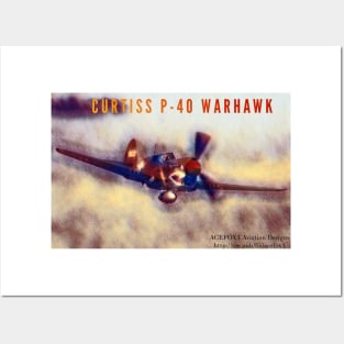 2-Sided P-40 Warhawk Posters and Art